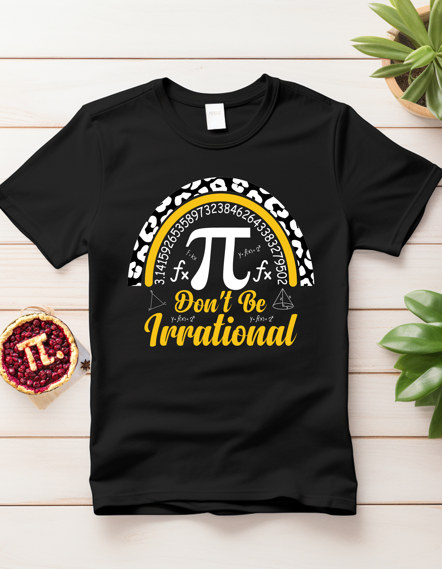 Irrational PI